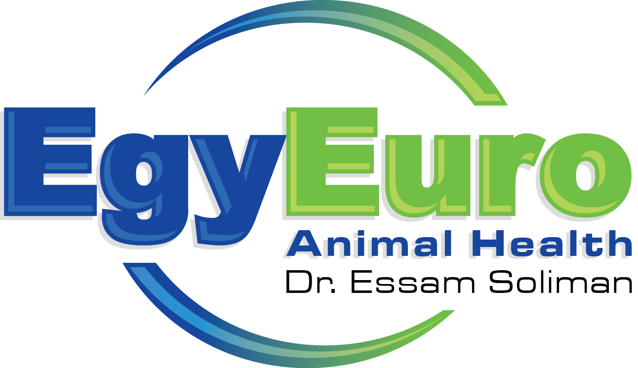 الشركة المصرية الاوربية 